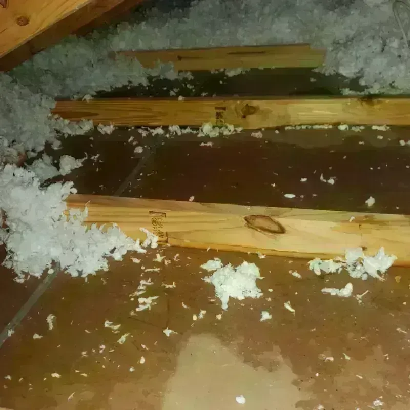 Attic Water Damage in Litchfield, NH