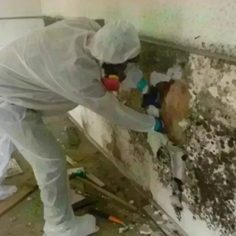 Mold Remediation and Removal in Litchfield, NH